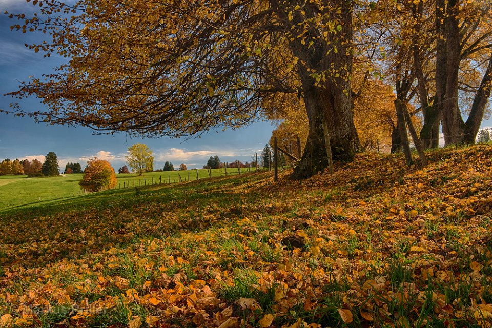 2013.10.26 121731 Herbst Rundfahrt Landsberg 2